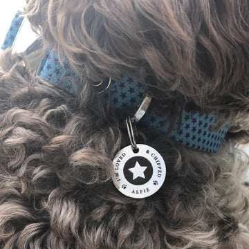 Personalised star dog id tag