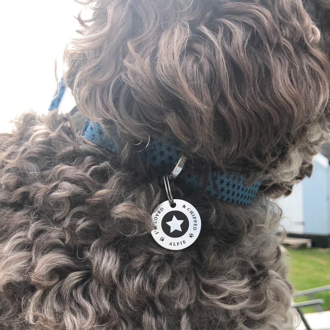 Personalised star dog id tag